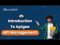 Introduction To Apigee API Management | Zx Academy