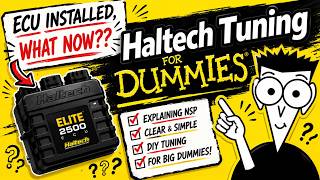 Haltech NSP Fuel Tuning for Dummies