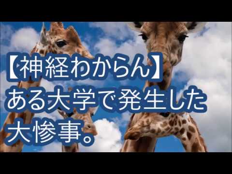 【神経わからん】ある大学で発生した大惨事。