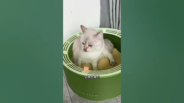 【电电的日常】是猫砂盆也可以是猫窝，颜值高还省砂！ - 天天要闻
