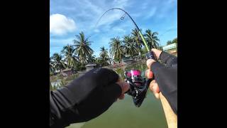 Mồi mềm M70 với jighead 9078 câu cá lóc #fishing
