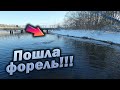 ЭТА РЫБА РВЁТ ВСЕ ШНУРЫ!!! РЫБАЛКА НА МИКРОДЖИГ!!!