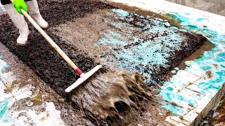 Satisfying Extreme Rug Washing Time-Lapse | How to Deep Clean Dirty Shag Carpet Restoration