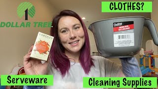 DOLLAR TREE HAUL | Clothes | Cleaning | Party supplies screenshot 4