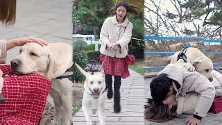 The Dog Got Lost On Purpose To Help The Owner Chase The Girl He Likes