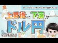 【必見】ドル円 最新 予想！今後の戦略を分かりやすく解説！【FX ローソクさんのテクニカル分析 #181】