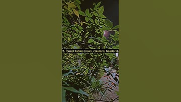 Day1/100 days of webdevlopment 👍 #coding #webdevelopment #100dayschallenge #100daysofcode #dsa #java