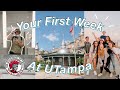 What to Expect Your FIRST WEEK of School at the University of Tampa