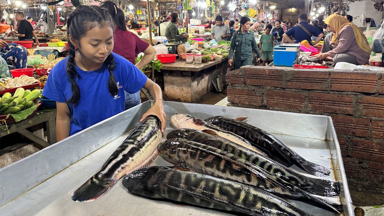 Market show: Yummy snakehead fish cooking with 2 recipes - Cooking with Sreypich