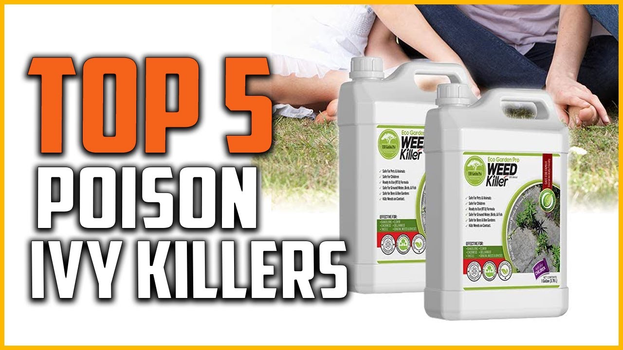 Top 5 Best Poison Ivy Killers Reviews in 2022 YouTube