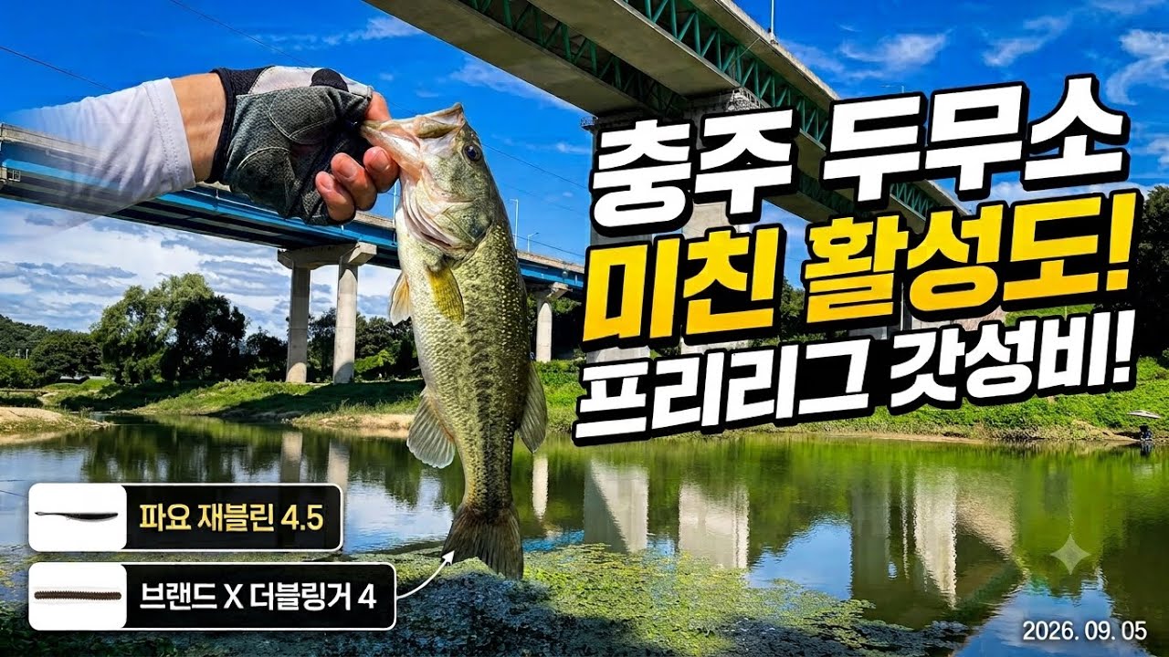 [충주 두무소 배스] 작아도 폭풍 입질! 충주 두무소 돌섬·직벽·새물유입구 완전 공략 bassfishing