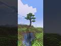 Making a custom tree🌳 #minecraft #minecraftbuilding