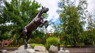Western Michigan University Wesustain