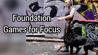 Foundation Games for Focus: Building Focus and Fixation at home and in public
