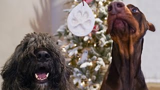 Making paw print ornaments | Doberman Pinscher & Bouvier des Flandres