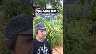 Installation of a native plant garden at Sparrow Park, OKC, with a 12-month update. #nativeplantsokc