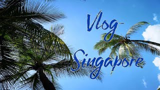 VLOG Afternoon Tea in LadyM after a trip to Sentosa island in Singapore Vlog by Shiwen Qiu 207 views 5 years ago 11 minutes, 42 seconds