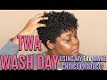 TWA Wash Day Routine Using The Mane Choice Products