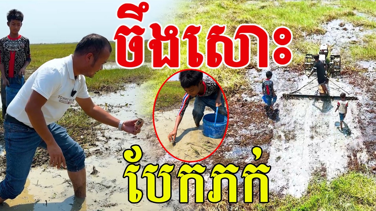 ចឹងសោះ កូរពេញភក់ បានថ្លៃគួសម