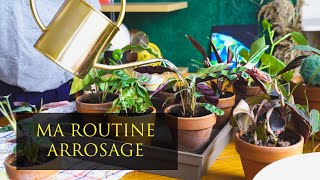 MA ROUTINE ARROSAGE | COMMENT J'ARROSE MES PLANTES EN CHILLANCE | ENTRETIEN PLANTE VERTE