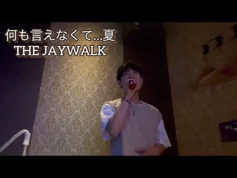 何も言えなくて...夏/THE JAYWALK カラオケで歌ってみた【敏彰】