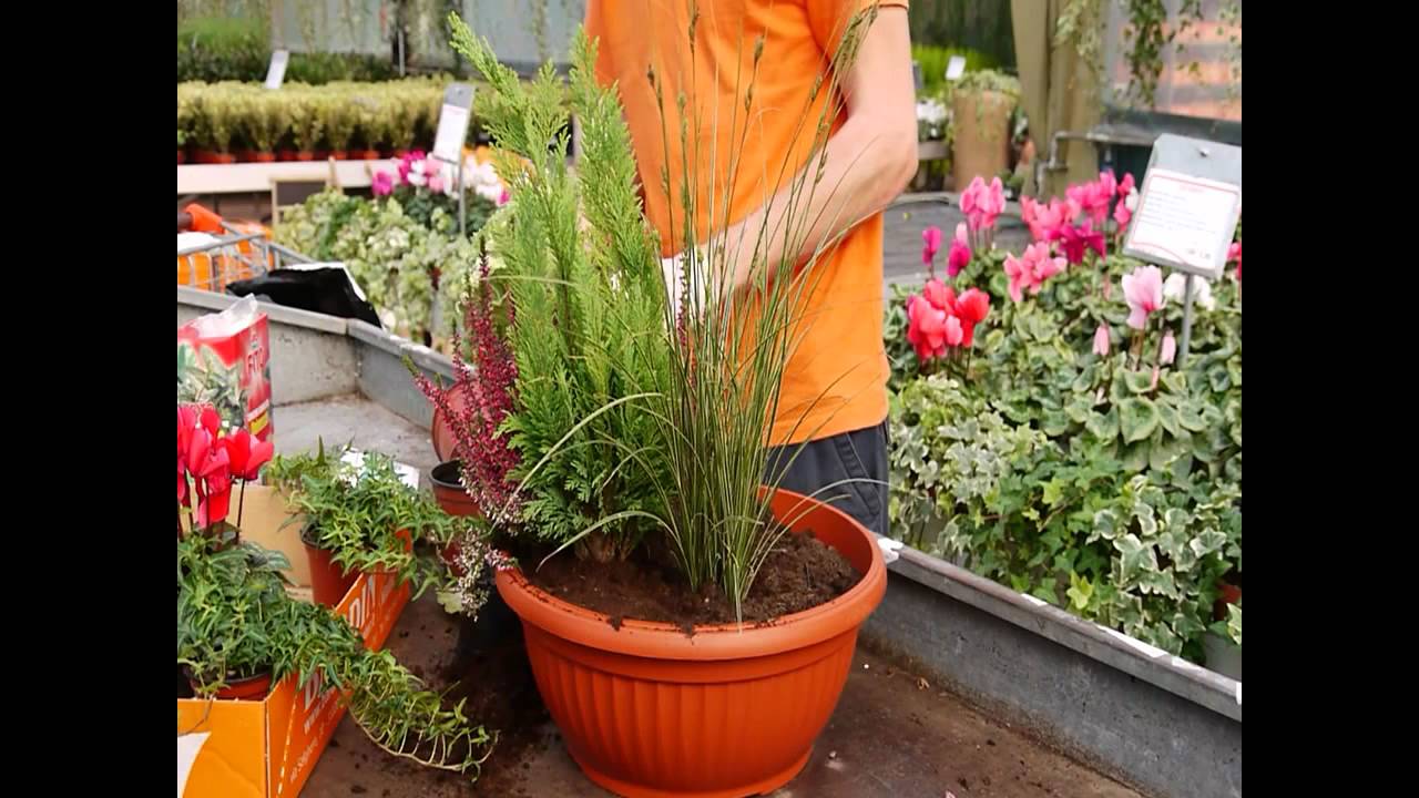 Creare una composizione con fiori e piante autunnali youtube Composizioni di fiori autunnali