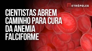 Cientistas Ganham Prêmio Por Desenvolver Cura Para A Anemia Falciforme
