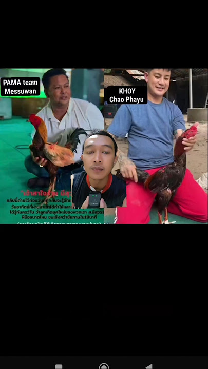 Reactin Big game  Pama mesuwan vs Pakhoy Chaopayu
