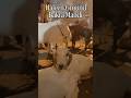 Halim Ground Bakra mandi | Gates are open #halim #bakra #viral #ytshorts #funny