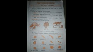 Vikas evs std 1st Unit 5 : Our surrounding lesson no 1 The Tree Around us Profile