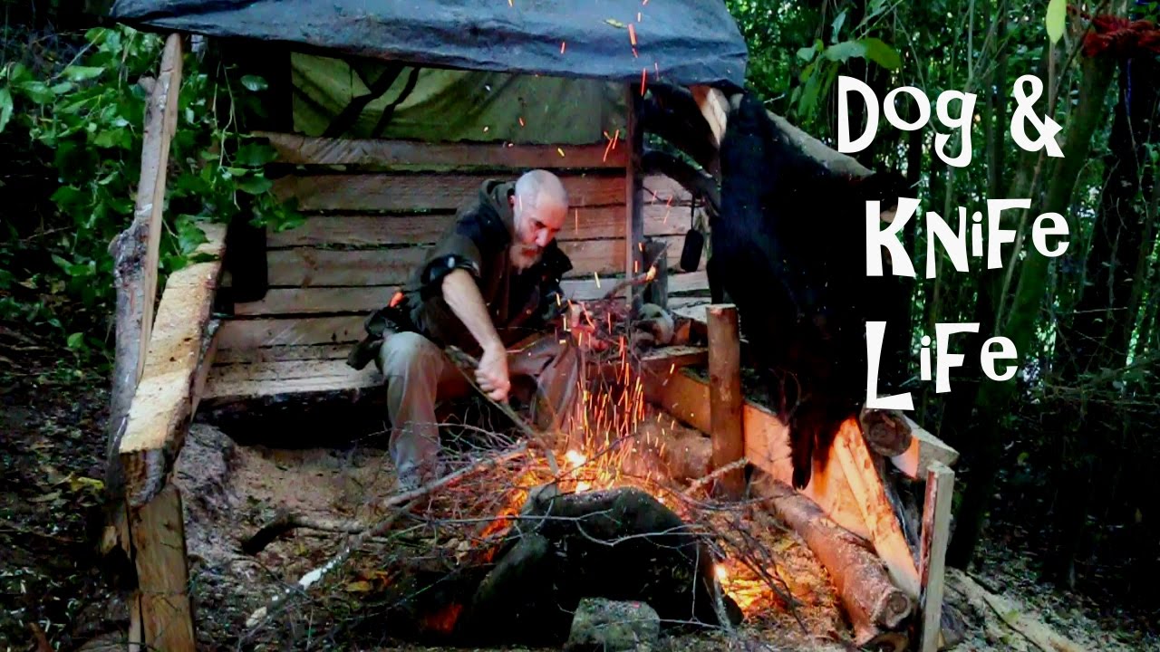 Dog & knife life YouTube