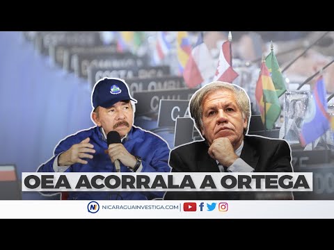 #LoÚltimo | ⚠🔺 Noticias de Nicaragua 20 de octubre de 2021