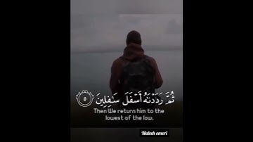 سورة التين llوالتين والزيتون  مليح الرحمن العمري