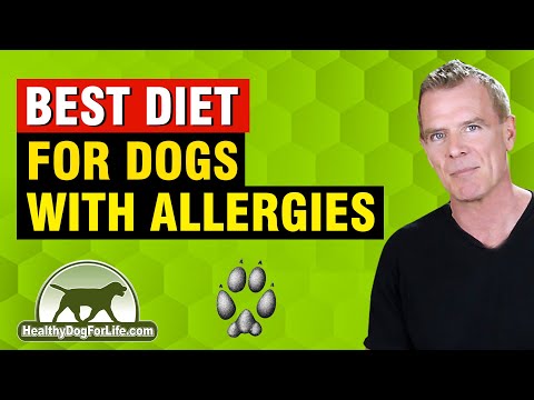 वीडियो: एलर्जी के साथ आपके कुत्ते के लिए सर्वश्रेष्ठ भोजन विकल्प