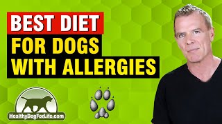 What is the Best Food to Feed My Dog With Allergies [3 BEST Diets]