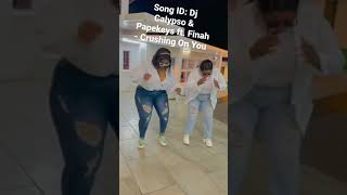 Dj Calypso  Crushing On You