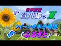 世界遺産『白川郷の夏』with. 【天使の歌声】ウイーン少年合唱団『ふるさと』【新版】