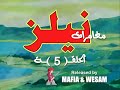 مغامرات نيلز الحلقة الخامسة ٥