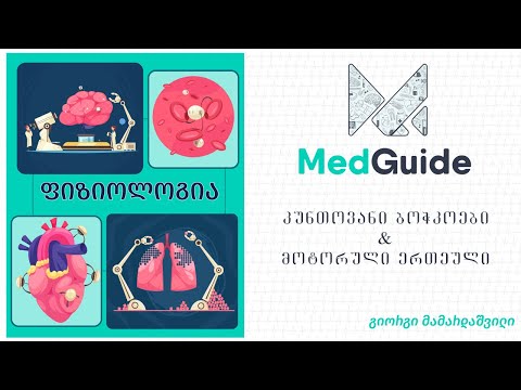 Medguide/მედგიდი - ფიზიოლოგია: კუნთოვანი ბოჭკოები \u0026 მოტორული ერთეული
