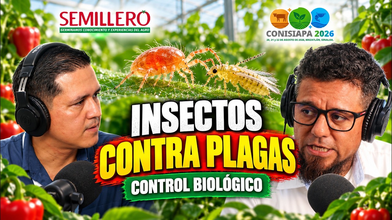 Control biológico: cómo usar enemigos naturales contra las plagas | EP. 140