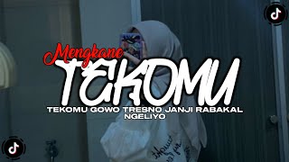 DJ TEKOMU NGGOWO TRESNO JANJI RABAKAL NGELIYON || TEKOMU VIRAL TIK TOK - Adi Fajar