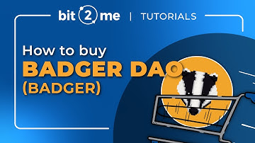 🦝 ¿How to BUY Badger DAO (BADGER)? 🛒¿What is this cryptocurrency? in 2 minutes - Bit2Me 2021