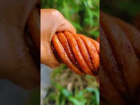 Ăn vặt tuổi