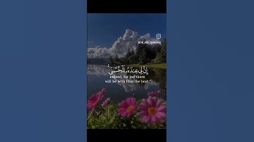 القرآن الكريم   "سورة فصلت الآية (49)"