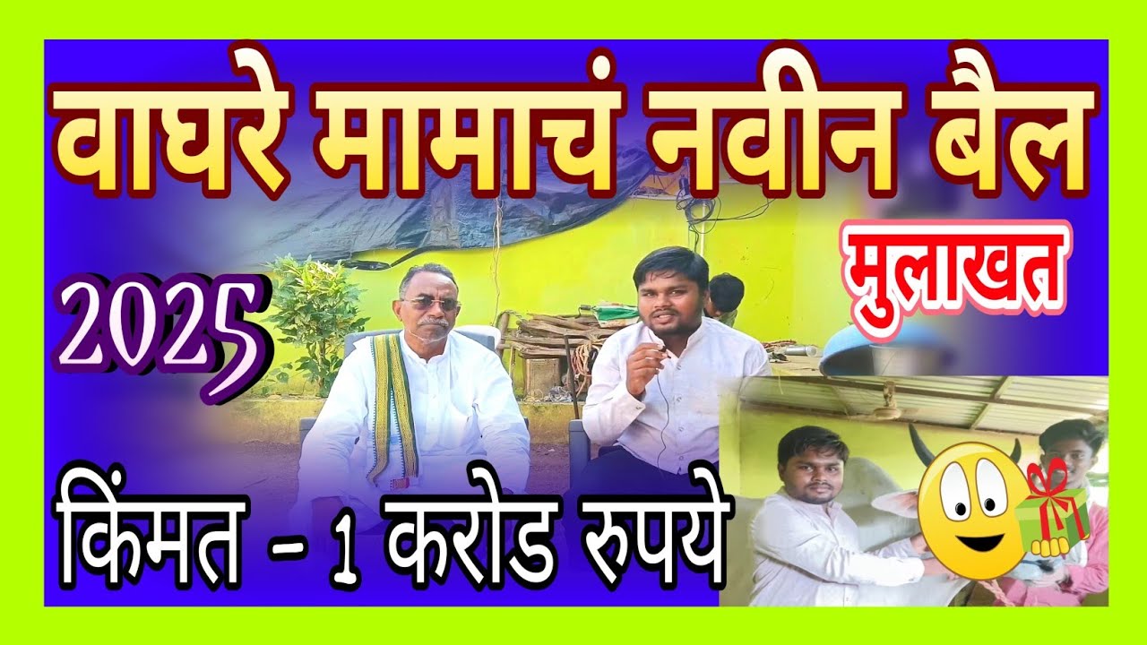 वाघरे मामाचं नवीन बैल किंमत - 1 करोड | Waghre Mama Mulakht shankarpat #trending #youtube