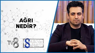 Ağrı Nedir? | Dr. Öğr. Üyesi Ömerul Faruk Aydın | 8'de Sağlık