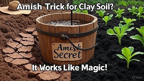 Amish Gardeners Use This to Fix Clay Soil—Here’s Why It Works Like Magic