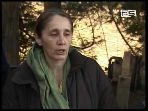 ციხისძირში ასწლოვანი ხეების გადატანის სამუშაოები დღის პირველ ნახევარში შეჩერებული იყო