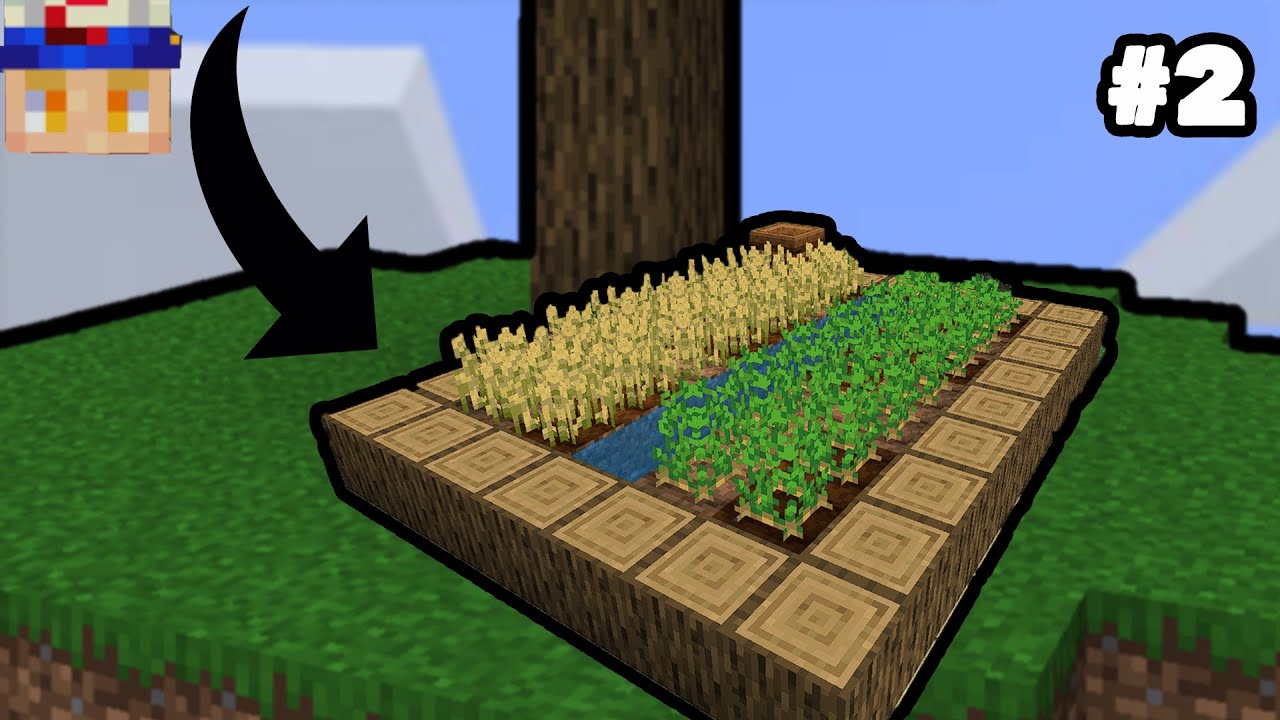 Optimiser son ile c est incroyable skyblock minecraft bedrock 2