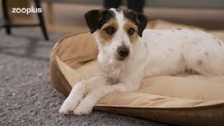 Legowisko Basic | zooplus.pl